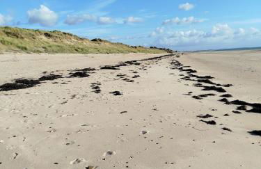 Maison de vacances près de la mer à Créances - Foto 6