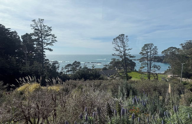 Cottages at Little River Cove - Photo 58