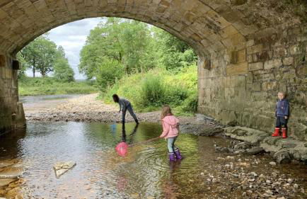 Dale House - Foto 33