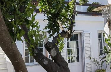 Casinha do Chico - Foto 16