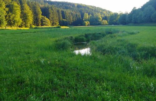 Ferienhaus am Bach - Deuerling - Foto 29