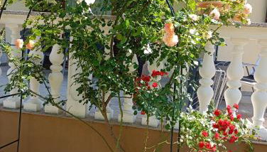 Apartments Nina - Foto 5