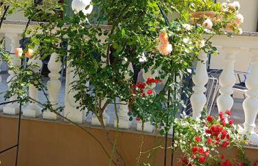 Apartments Nina - Photo 5