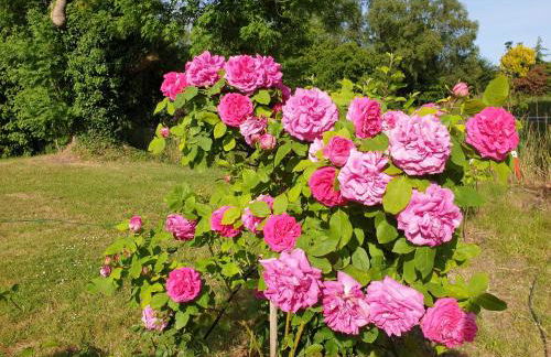 Johannes Hof - Foto 21