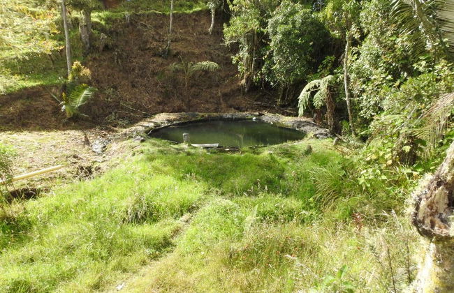 Itinerario privato di trekking a El Bosque + Terme di Canaán - Foto 3