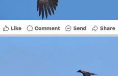 Seas the Day - self catering lodge North Uist - Foto 9