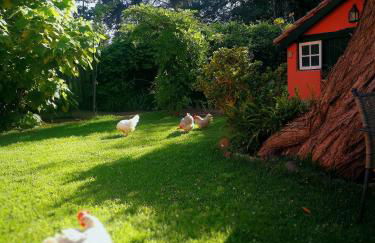 Jardines de Hortensia - Vacation home Tenerife - Foto 22