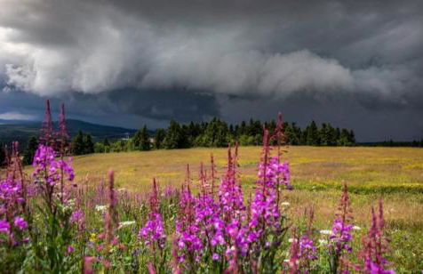 Ferienwohnung Rotbuche - Foto 32