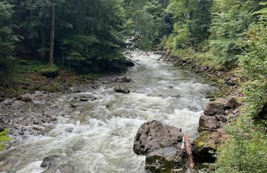 FEWO Allgäu Chalet mit Schwimmbad und Sauna - Photo 15