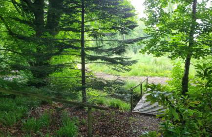 Lady Farm - Bargany - Foto 6