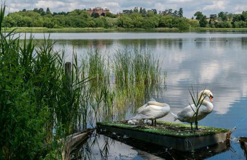 The Ski Club - Foto 32