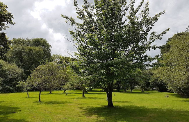 The Wriggly Tin & Baa Spa at Tregoose Old Mill - Foto 18