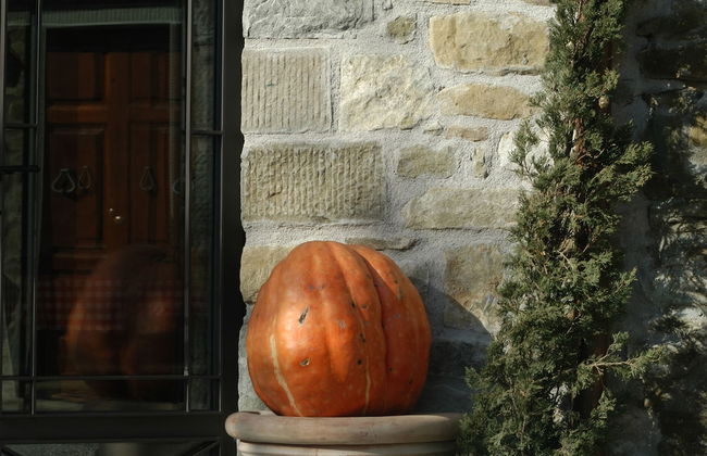 Agriturismo I Pagliai - Photo 70