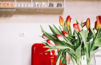 Podere Selvatici - Foto 20