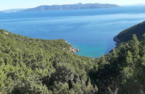 Little Bit Of Heaven - Photo 22