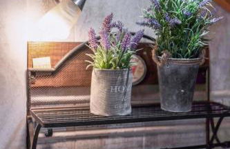 Villa Nestor - Foto 28