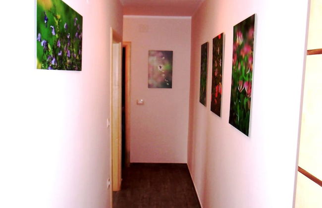 Apartmani Romano - Foto 12