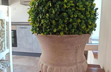 Agriturismo Podere Le Palaie - Foto 22