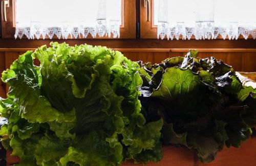 Hotel Agriturismo Al Luogo Del Giulio - Foto 31