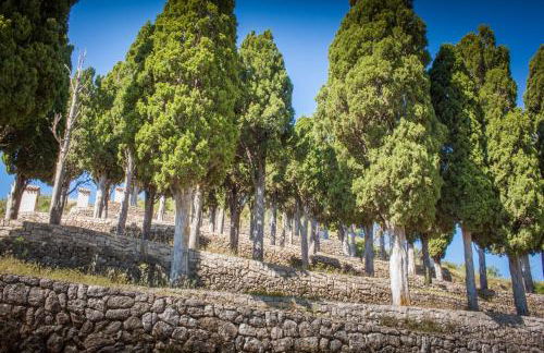 Casa Amparo - Alquiler íntegro con encanto en Alicante - Foto 31