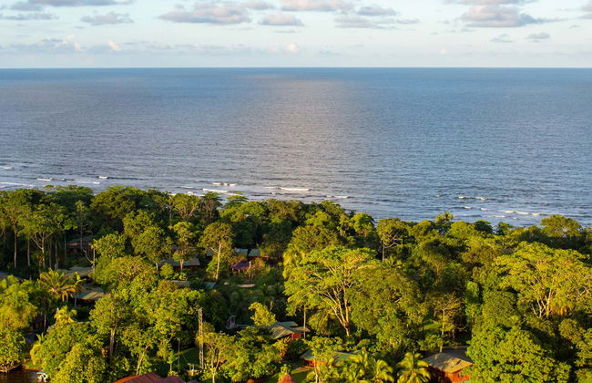 Tour de 2 ou 3 dias pelo Parque Nacional Tortuguero - Foto 1