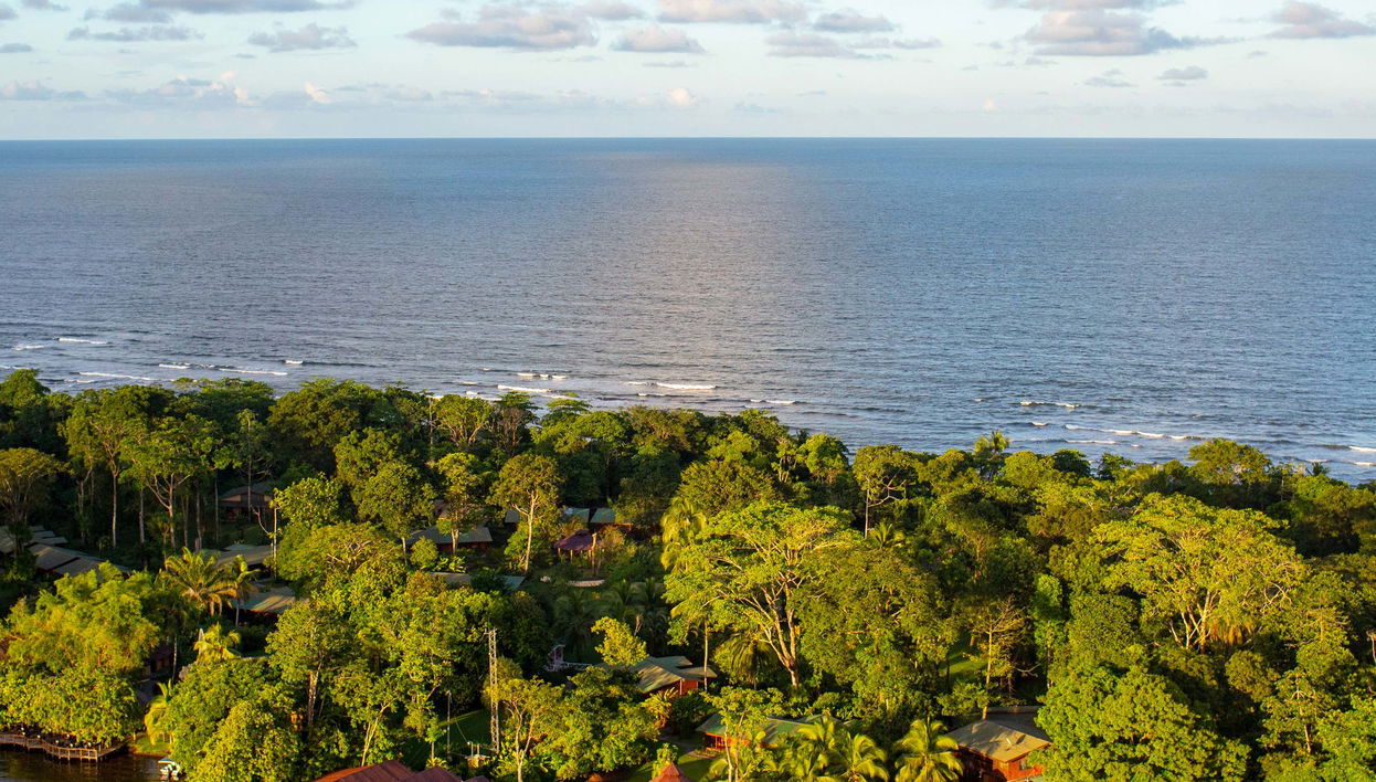 Tour de 2 o 3 días por el Parque Nacional Tortuguero