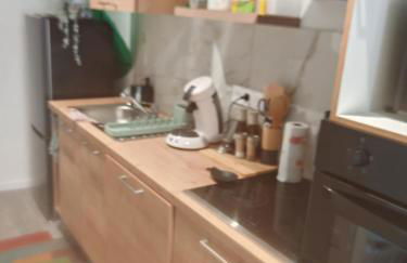 Bulle tropicale jungle - Foto 12