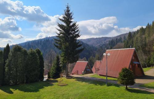 Perełka Bieszczady Domki - Photo 58