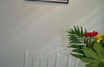 Apartment Editha Wohnung im EG Zentrumsnah - Foto 9