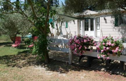 Mas Maurane - L'Olivier avec SPA privé aux portes d'ARLES - Foto 4