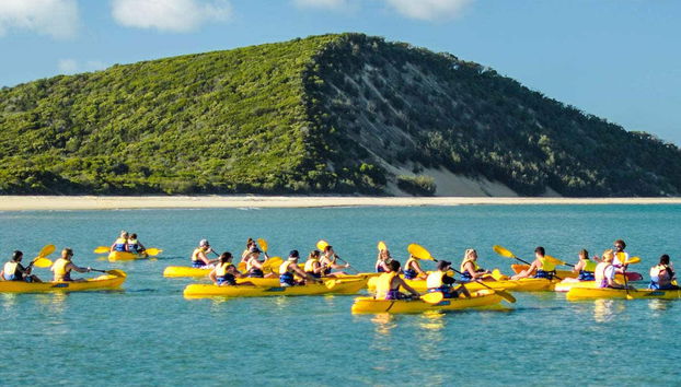 Dolphin View Kayak Tour - Foto 2