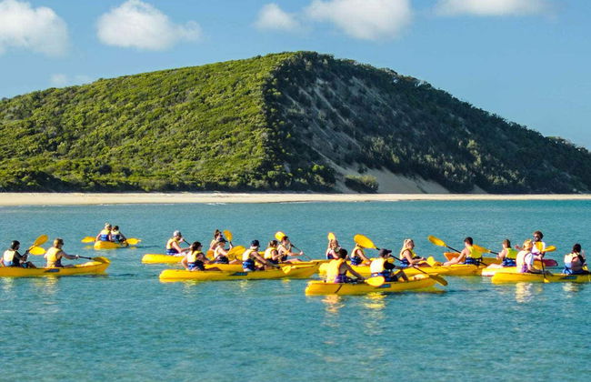 Dolphin View Kayak Tour - Foto 2