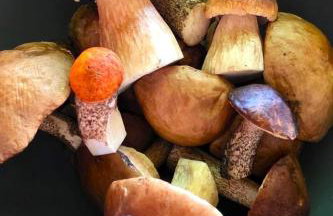 Pasterzewo 19 - Domki na Mazurach - Foto 73