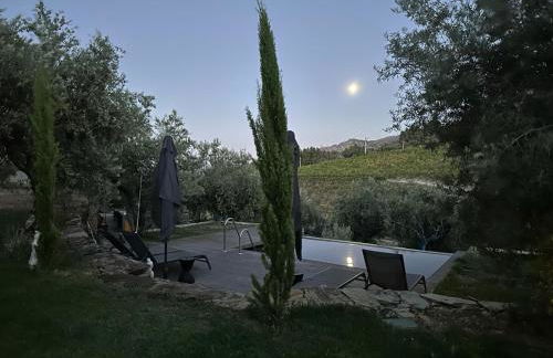 Quinta dos Piscos - Foto 21