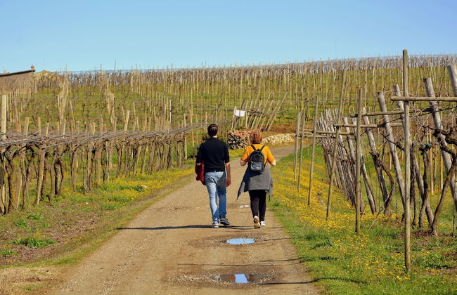 Castello di Mugnana - Foto 58