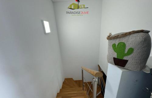 CactusVibes Cotillo - Foto 29