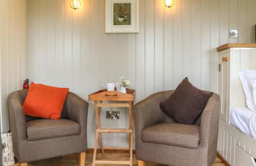 Little Silver Owl - Foto 6