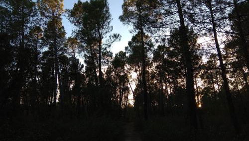 Rural Arco Iris - Foto 3