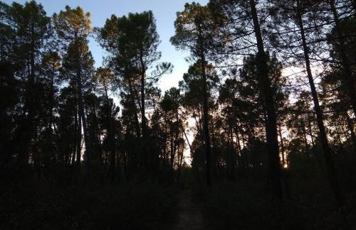 Rural Arco Iris - Foto 3