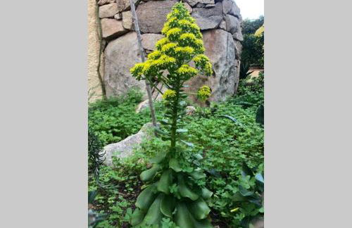 Loft UGB suite terrazzo nel cuore di Porto Rotondo - Foto 21