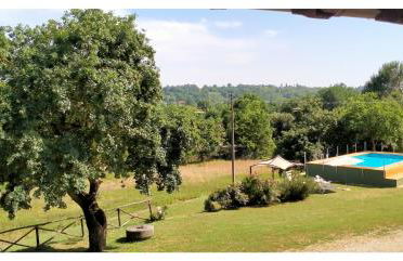 azienda agricola lo zolfino - Photo 22