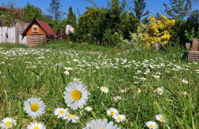 Ferienhaus Nr 2 - Das kleine Haus im Haus - Foto 36