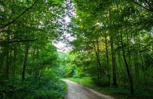 Chambres Senonches centre-ville - Foto 53