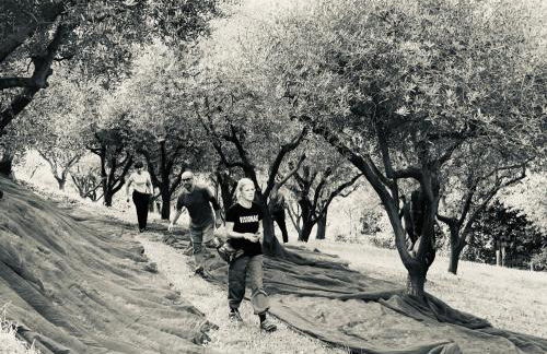 Ca' Salva Rustic Charme - Foto 72