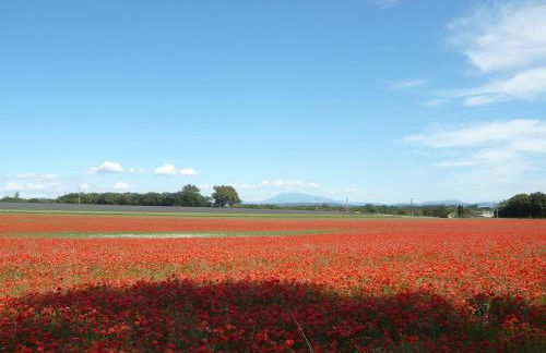 Entre garrigue et potager bio - Foto 43