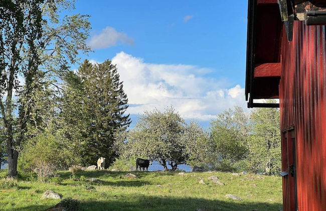 7 Person Holiday Home in Hova-by Traum - Foto 24