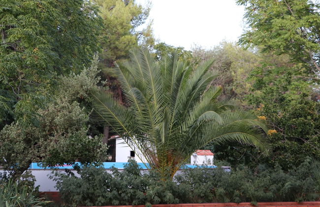 Agroturismo la finka - Foto 30