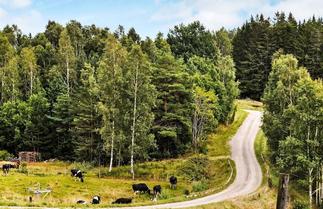 6 Person Holiday Home in Bengtsfors-by Traum - Foto 7