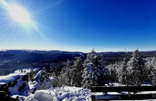 Strefa Ciszy -Lawenda - Foto 33