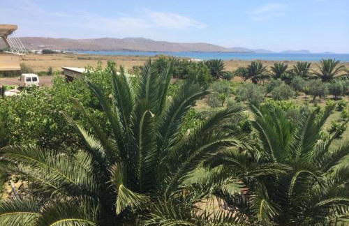 EvgatisBeach Loyskoy 1 - Foto 24